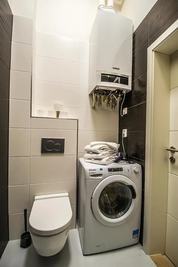 3Bdr City Center Ruterra Apartment プラハ